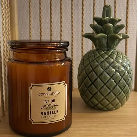 Hyper Centre Renove Terrasse & Parking *